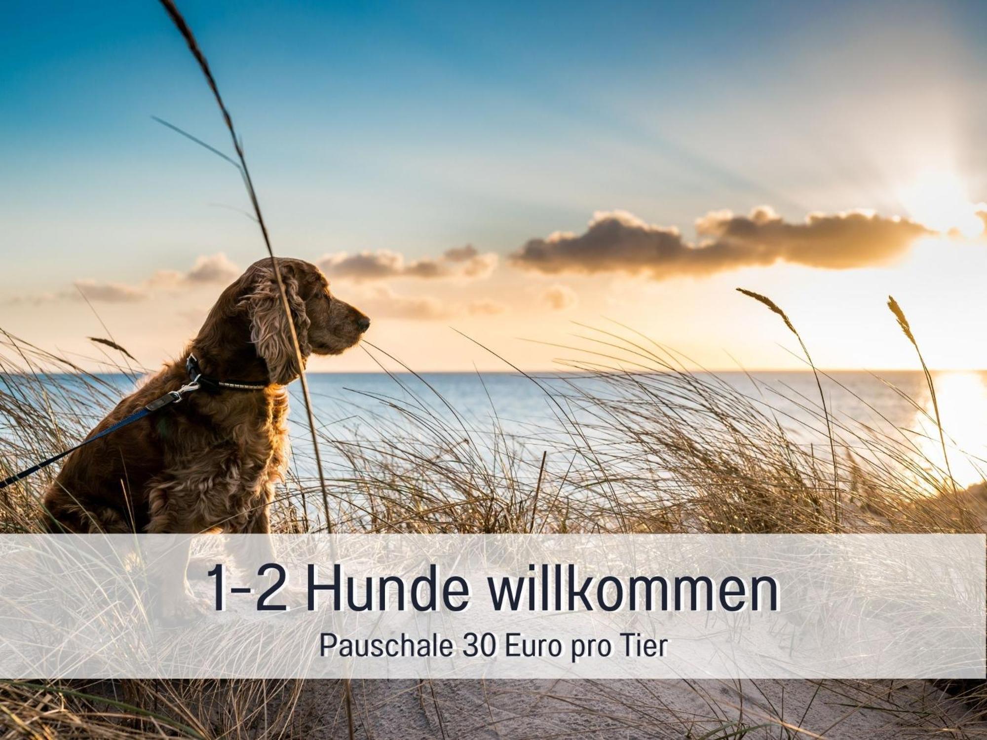 Penthouse - 3 Schlafzimmer- Sonnige Dachterrasse -Whirlpool & Alpenblick - Perfekt Fuer Romantik Oder Familienurlaub Mit Kind, Hund Willkommen - By Ferienwohnenamsee - Uberlingen Buitenkant foto
