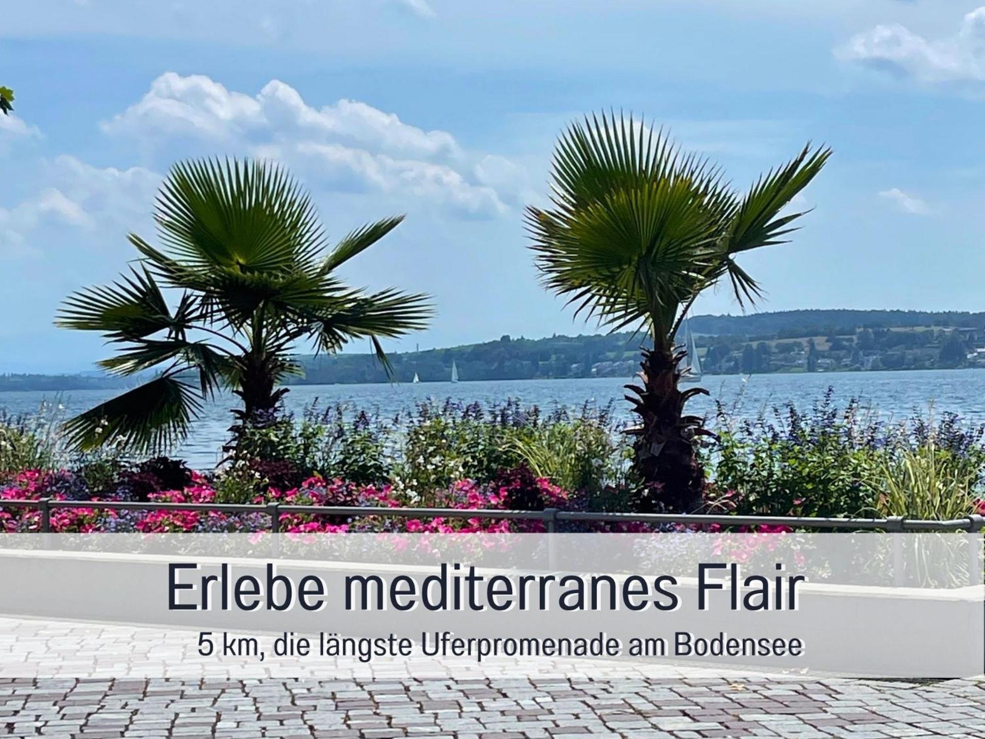 Penthouse - 3 Schlafzimmer- Sonnige Dachterrasse -Whirlpool & Alpenblick - Perfekt Fuer Romantik Oder Familienurlaub Mit Kind, Hund Willkommen - By Ferienwohnenamsee - Uberlingen Buitenkant foto