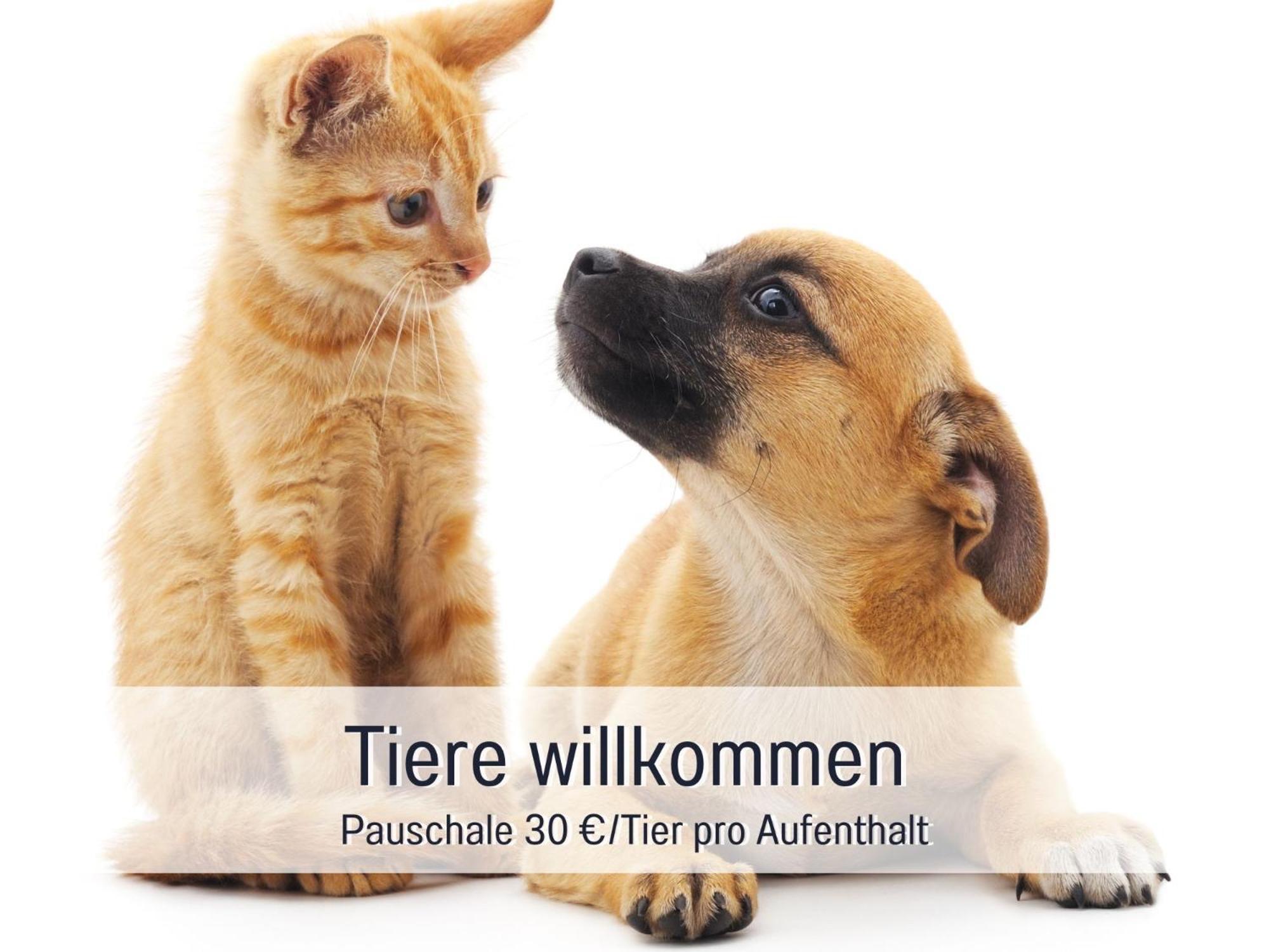 Penthouse - 3 Schlafzimmer- Sonnige Dachterrasse -Whirlpool & Alpenblick - Perfekt Fuer Romantik Oder Familienurlaub Mit Kind, Hund Willkommen - By Ferienwohnenamsee - Uberlingen Buitenkant foto